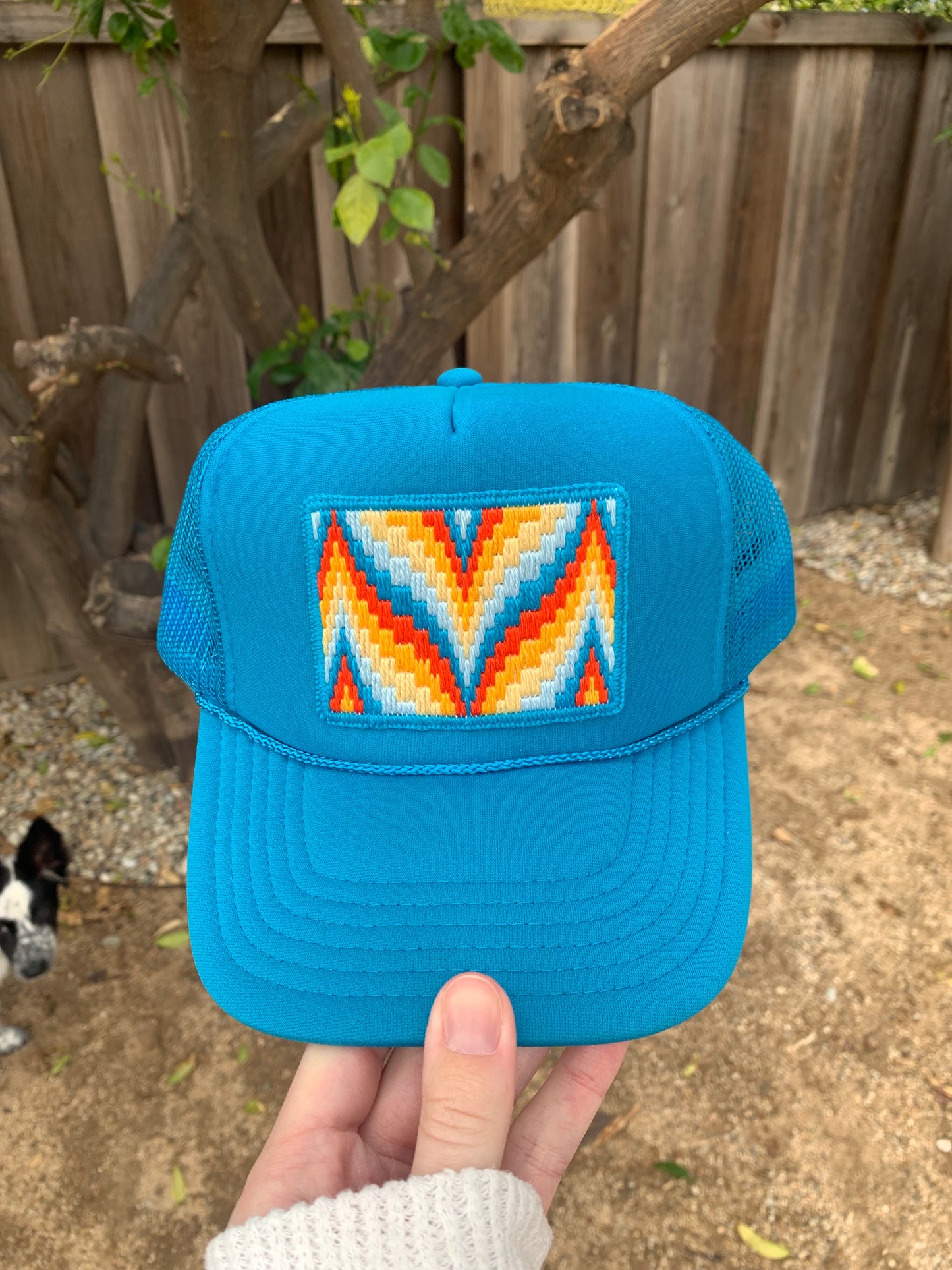 Pointed Curves in Orange and Blue